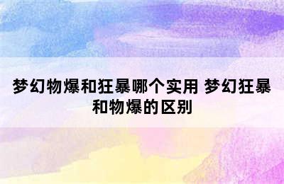 梦幻物爆和狂暴哪个实用 梦幻狂暴和物爆的区别